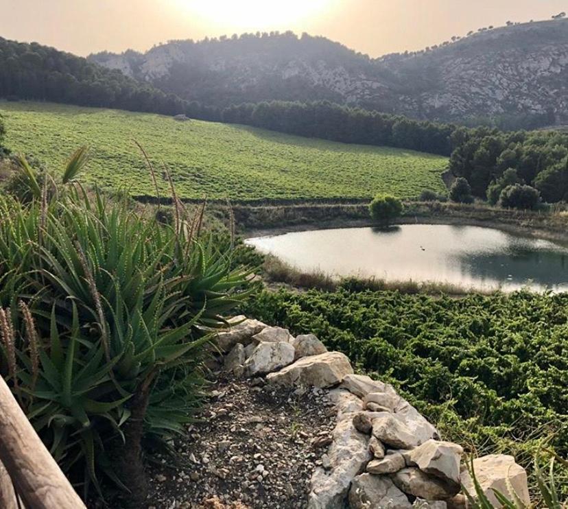 Agriturismo Tenute Pispisa Segesta Calatafimi Luaran gambar