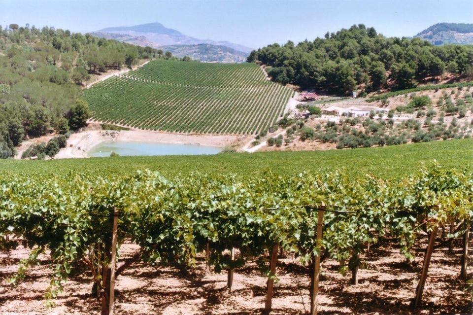Agriturismo Tenute Pispisa Segesta Calatafimi Luaran gambar
