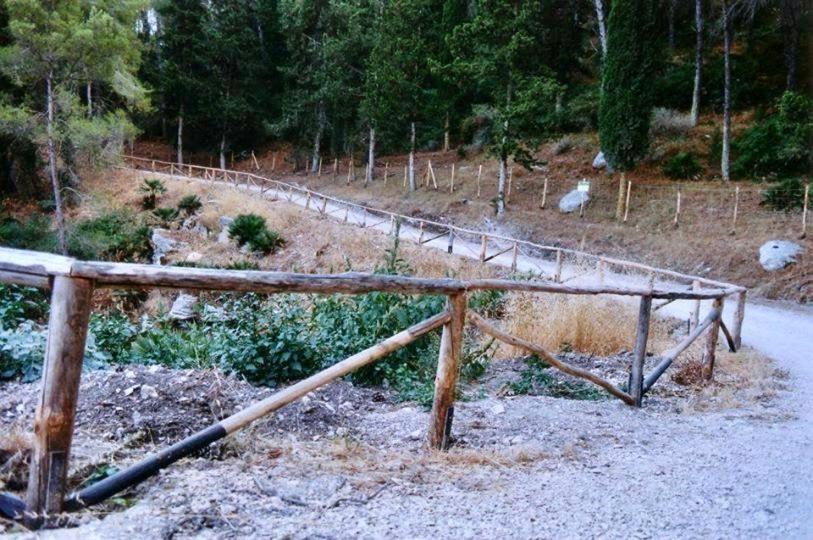 Agriturismo Tenute Pispisa Segesta Calatafimi Luaran gambar
