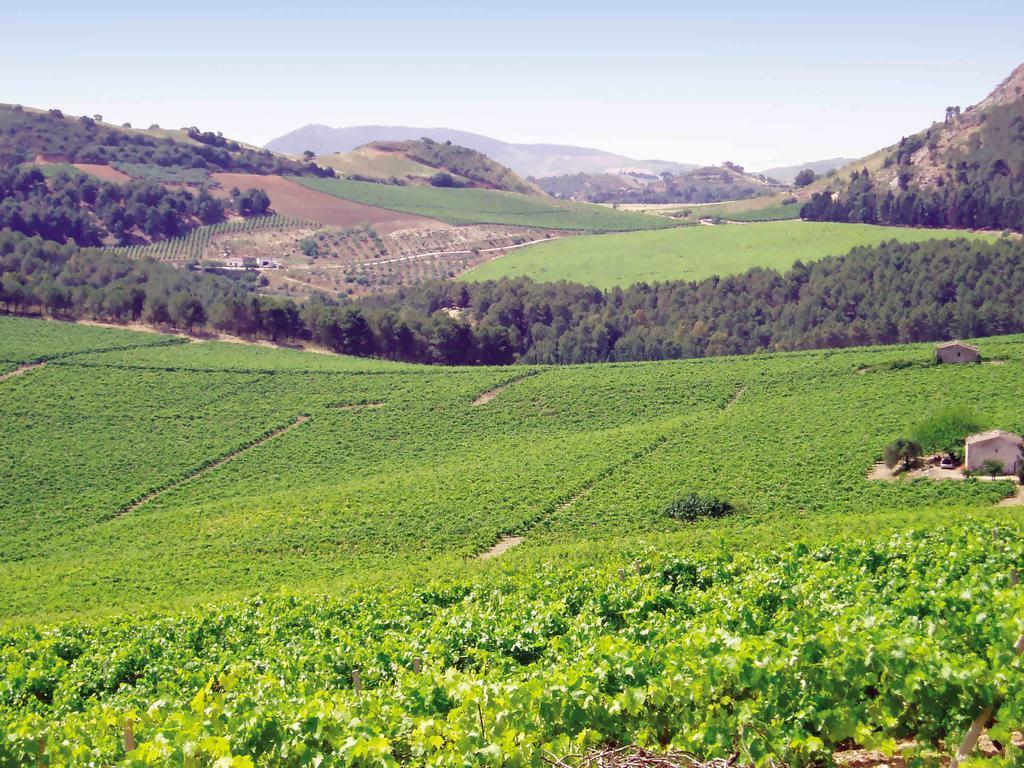 Agriturismo Tenute Pispisa Segesta Calatafimi Luaran gambar