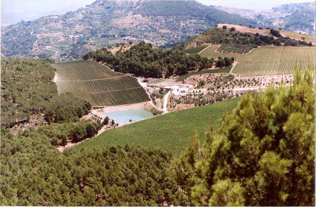 Agriturismo Tenute Pispisa Segesta Calatafimi Luaran gambar