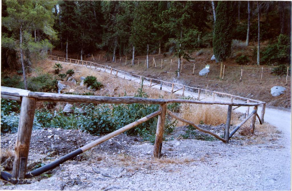 Agriturismo Tenute Pispisa Segesta Calatafimi Luaran gambar