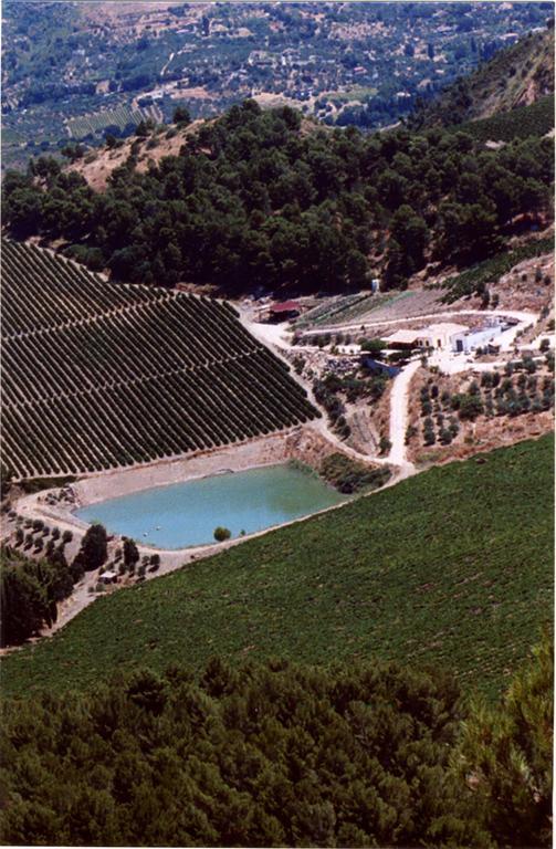 Agriturismo Tenute Pispisa Segesta Calatafimi Luaran gambar