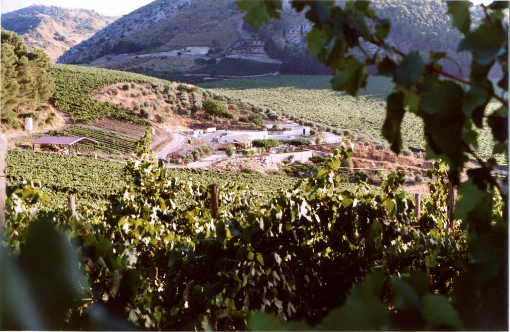 Agriturismo Tenute Pispisa Segesta Calatafimi Luaran gambar