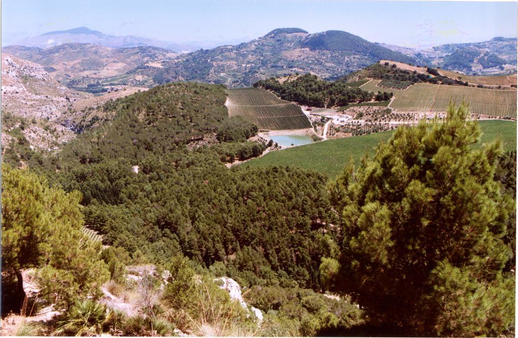 Agriturismo Tenute Pispisa Segesta Calatafimi Luaran gambar