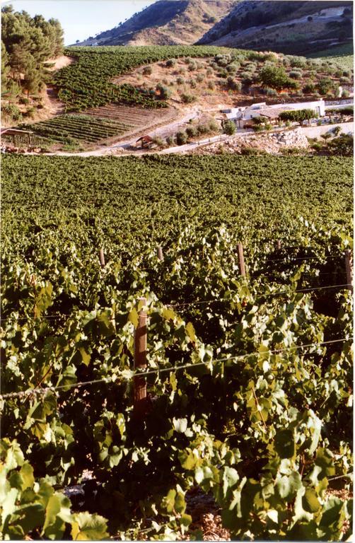 Agriturismo Tenute Pispisa Segesta Calatafimi Luaran gambar