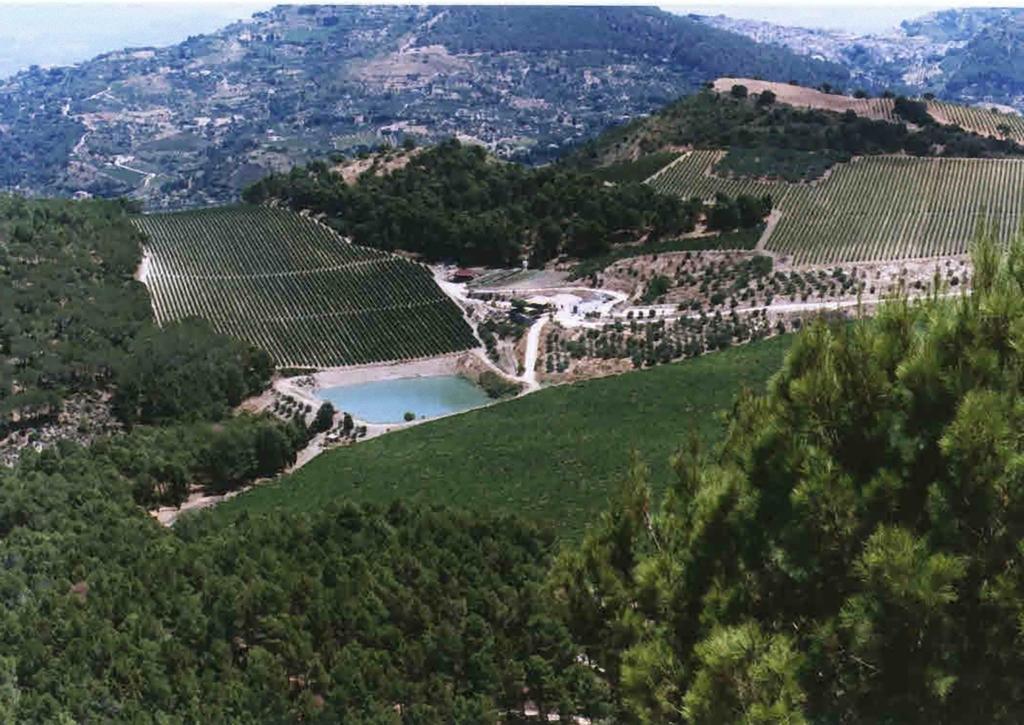 Agriturismo Tenute Pispisa Segesta Calatafimi Luaran gambar